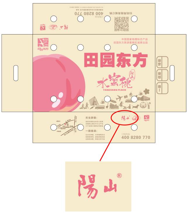 无锡阳山水蜜桃怎么辨别真假